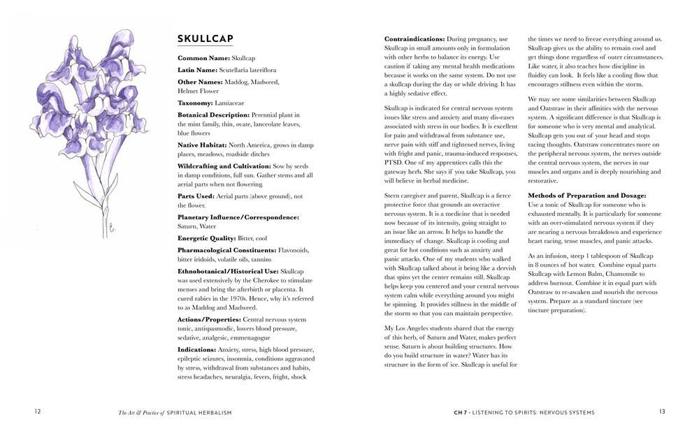 Art And Practice Of Spiritual Herbalism