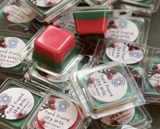SALE Wax Melt Single